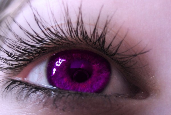 YEUX