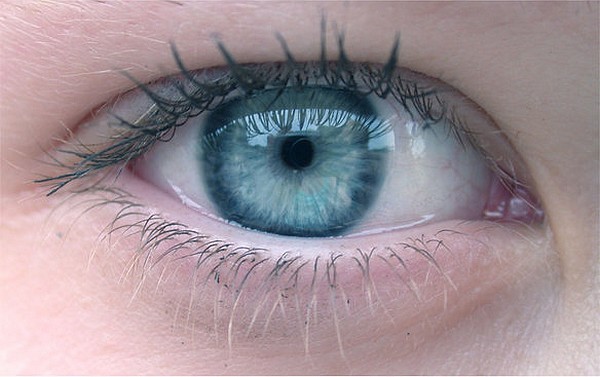 YEUX