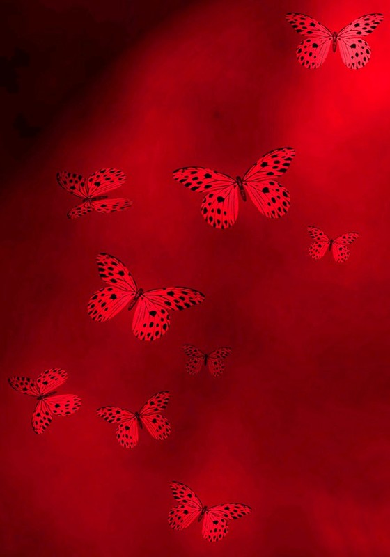 PAPILLONS