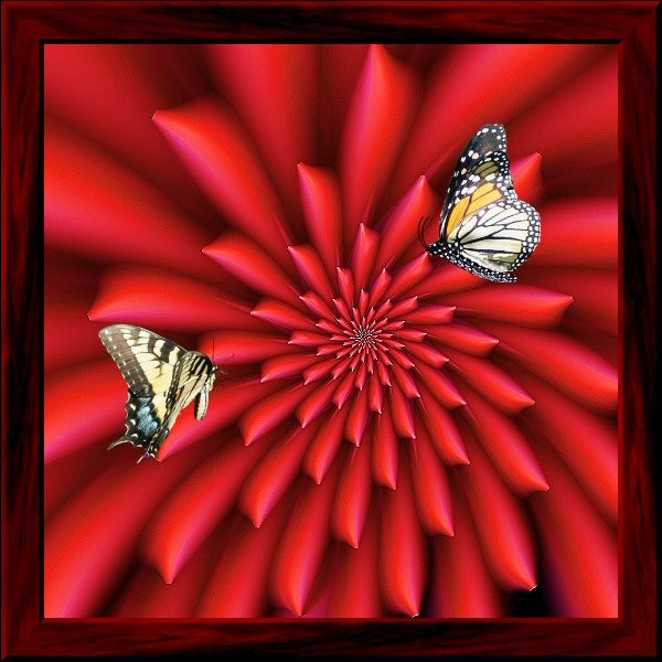 PAPILLONS
