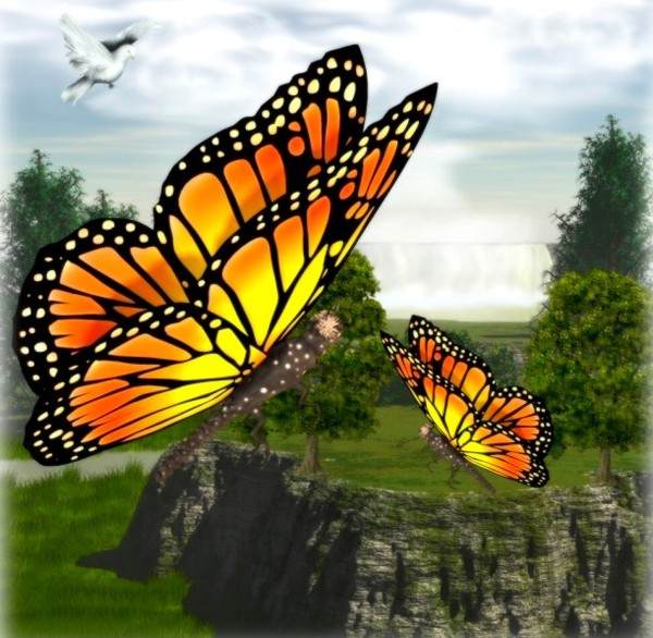 PAPILLONS