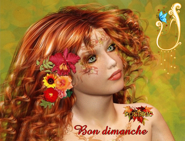 TRES BON DIMANCHE A TOUS !