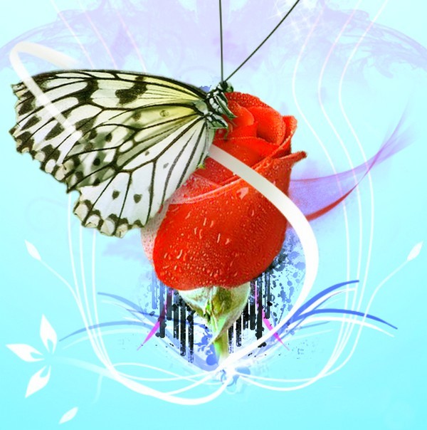 PAPILLON