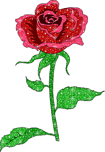 roses  serie