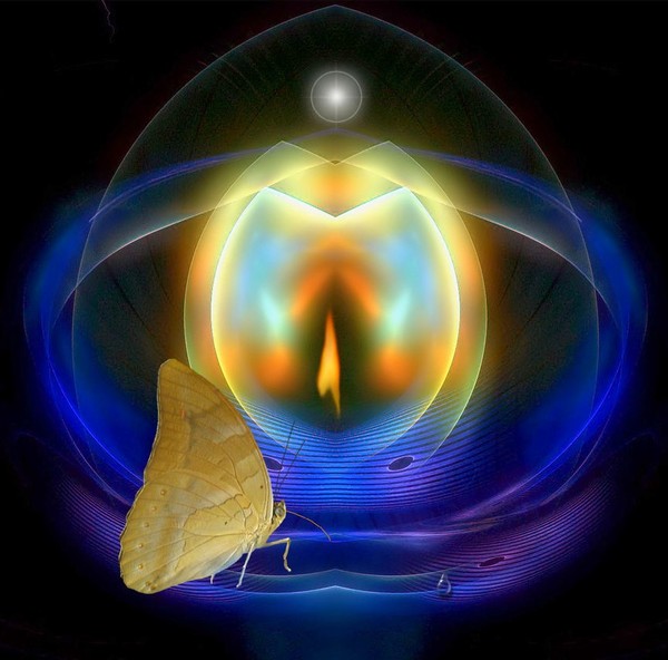 PAPILLON
