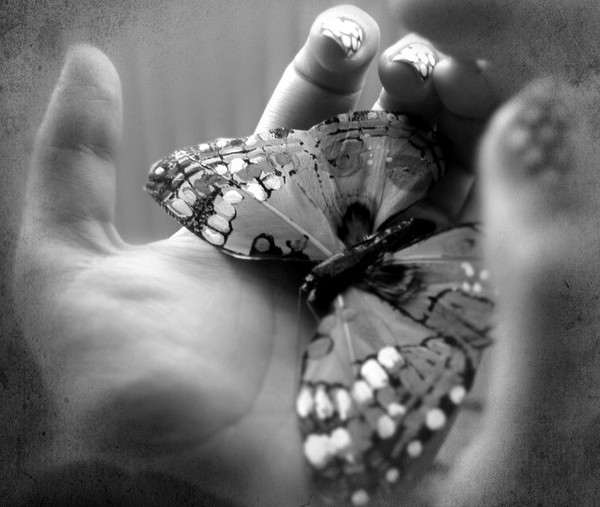PAPILLON