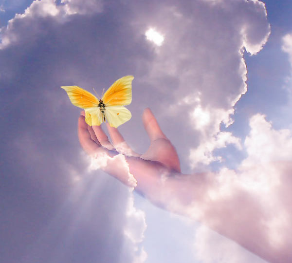PAPILLON