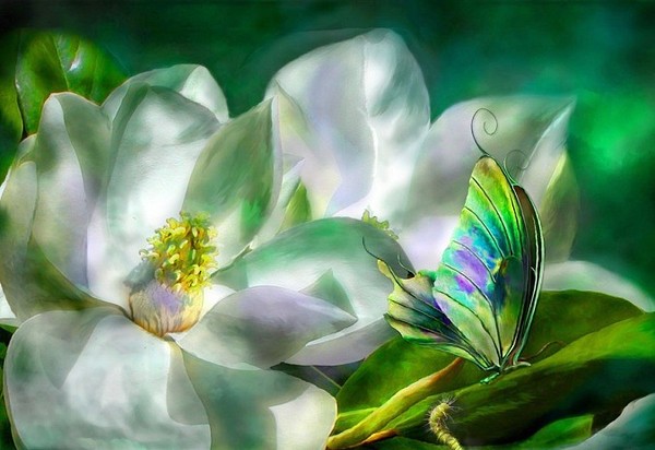 PAPILLON