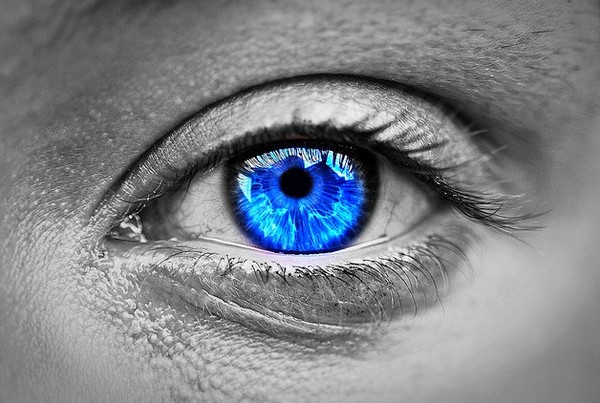 YEUX