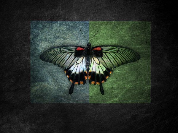 PAPILLON
