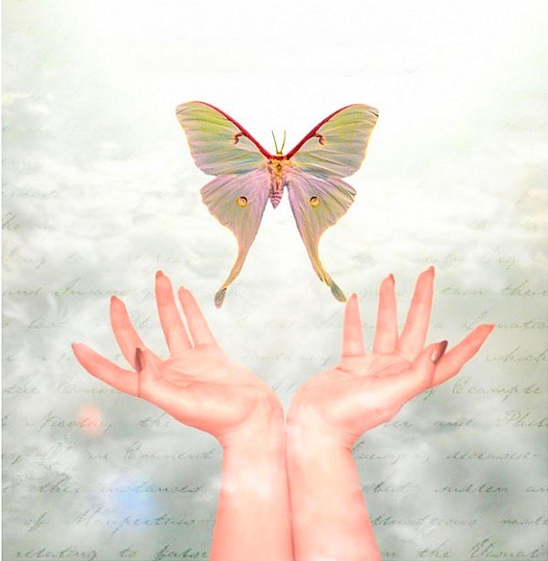 PAPILLON