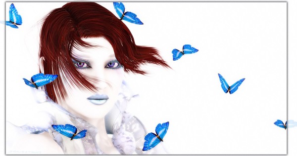 PAPILLONS
