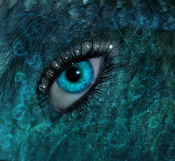 YEUX