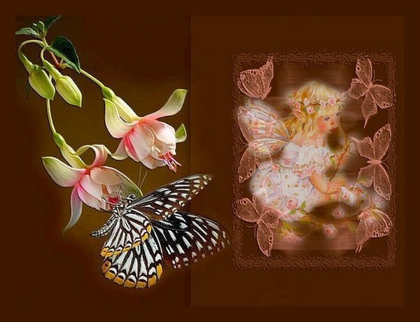 PAPILLON