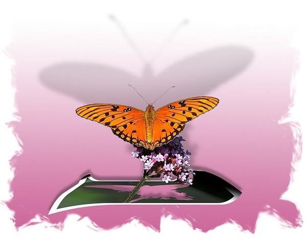 PAPILLON