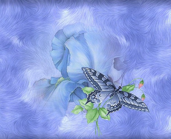PAPILLON