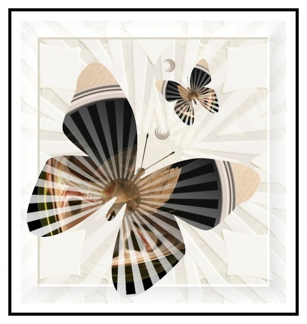 PAPILLONS