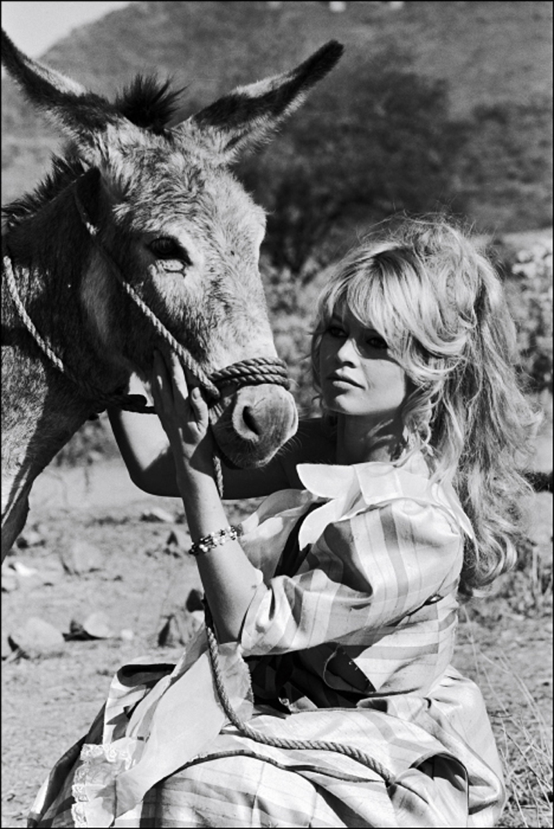 BRIGITTE BARDOT