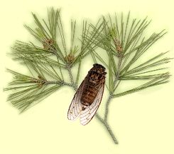 u53hci68.jpg